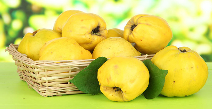 خواص دانه به